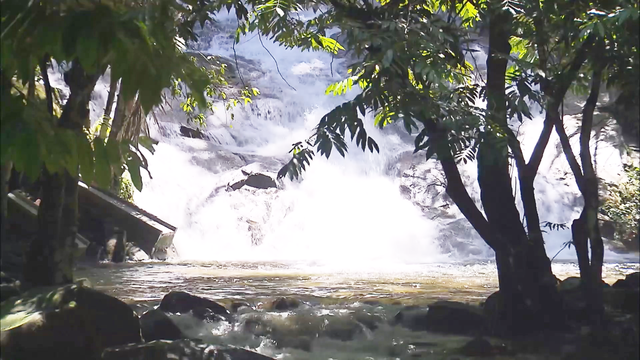 新加坡旅游综艺《自由脚步》怡保002：钟宝山