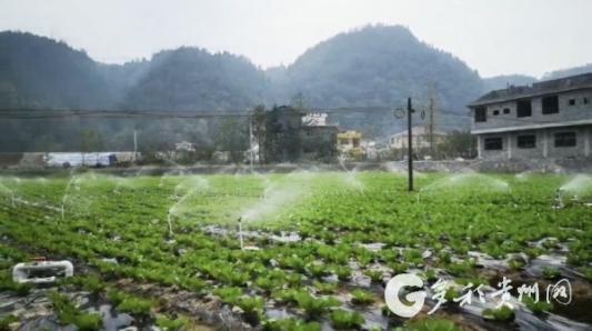 【聚焦两会·东西部扶贫协作】印江木黄：5000亩蔬菜种出村民致富路