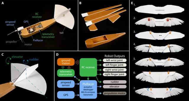 真·鲁班：斯坦福造出带羽毛翅膀的「机器鸽」，登Science及其子刊