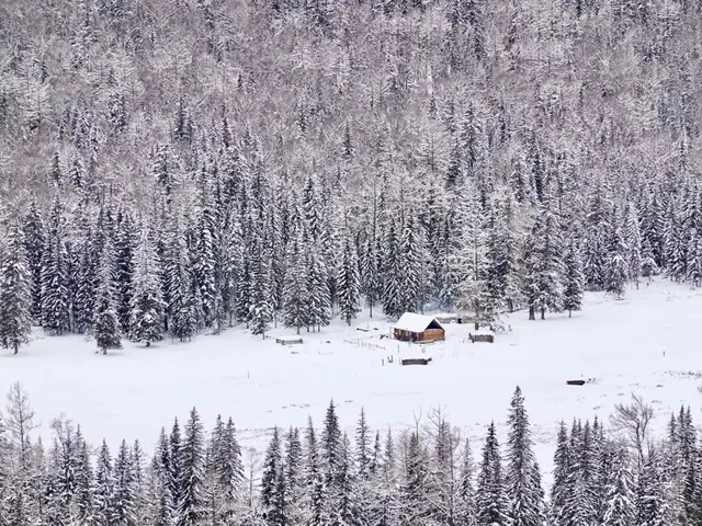 在最纯净的世界安一个家，太酷了