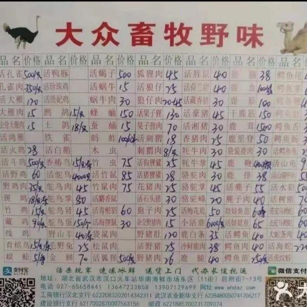 新型冠状病毒很可能来自野味，每经记者调查：武汉多家餐厅曾售卖獾、刺猬等