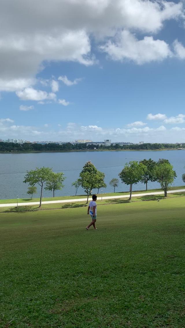 让人心旷神怡的大后院。新加坡