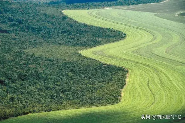 当人类越界招惹了野味病毒