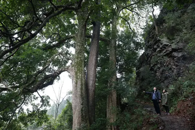 代课教师夫妇的孤村22年：他们用橘子当地球仪，教出大学教授