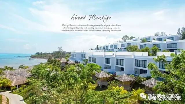 「全新｜梦帝国」红遍抖音就靠它了！三层大别墅+私人泳池嗨起来