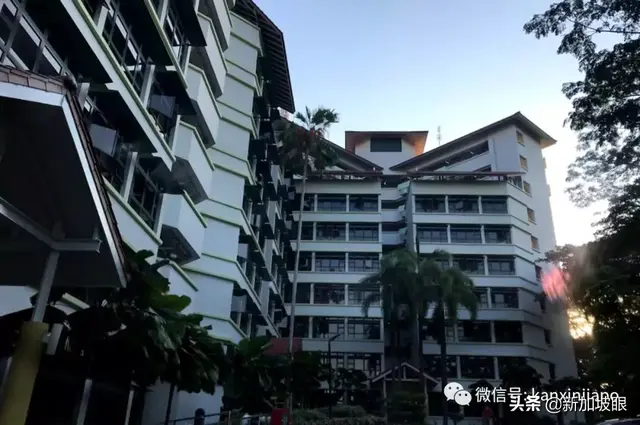 疫情面前，在新加坡需要隔离的你到底该去哪？