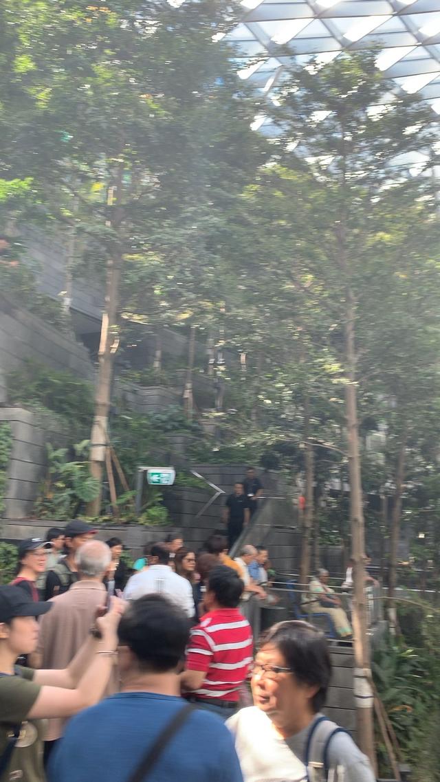 新加坡网红打卡景点，星耀樟宜。