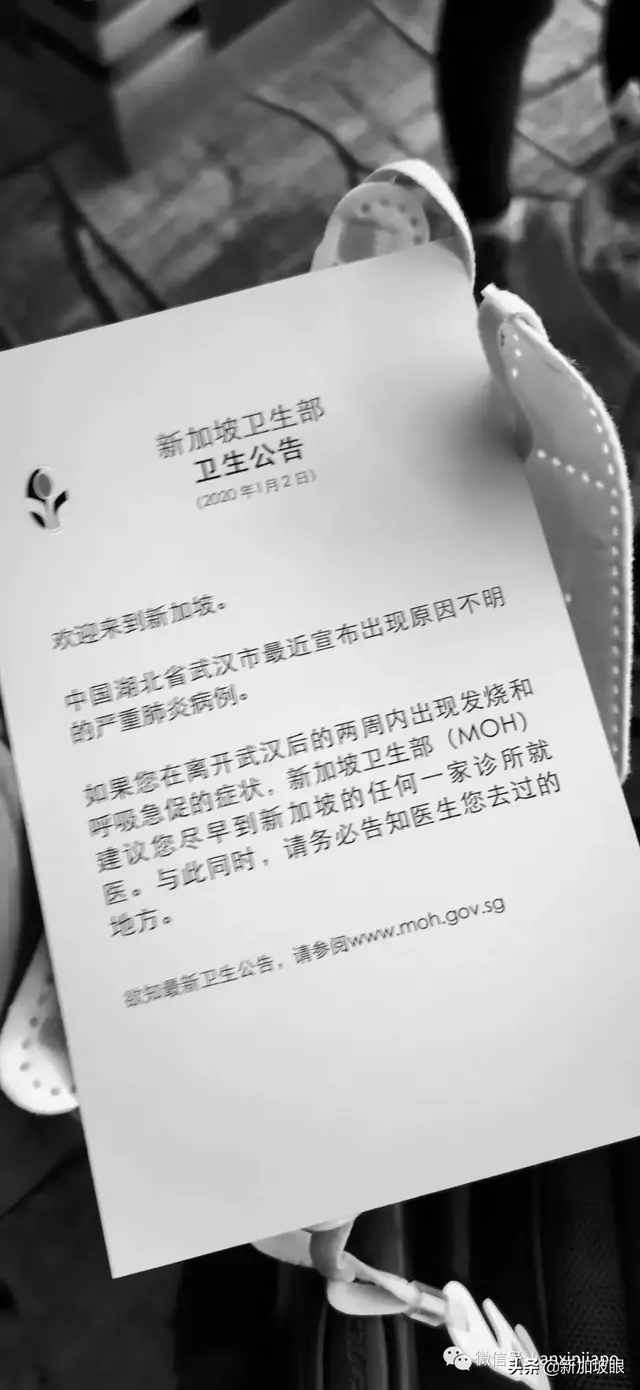 封城前，一大波人从武汉来到新加坡......