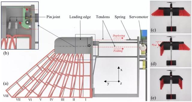 真·鲁班：斯坦福造出带羽毛翅膀的「机器鸽」，登Science及其子刊