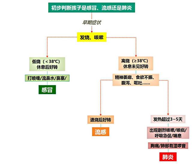 新型冠状病毒肺炎和普通感冒，流行病毒有什么区别？