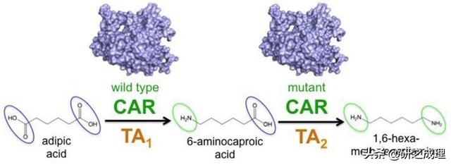 催化周报：Joule、JACS、Angew等大合集