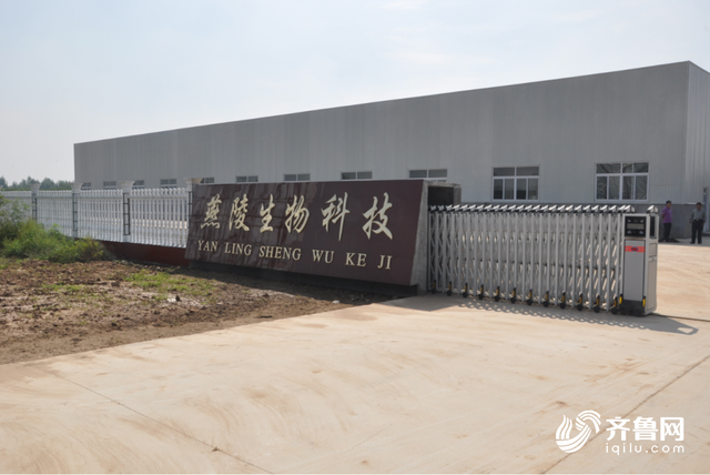 德州燕陵蜜酒：突破技术创新研发 传播千年蜜酒文化