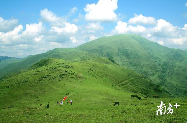 茂名产业新力量③|串珠成链建滨海旅游目的地