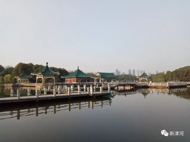 “长堤杉影，浴日踏青”—大美江城(2)