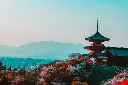 赴日旅游人数仅下降1.1%，外国游客对疫情保持乐观，照常景点观光