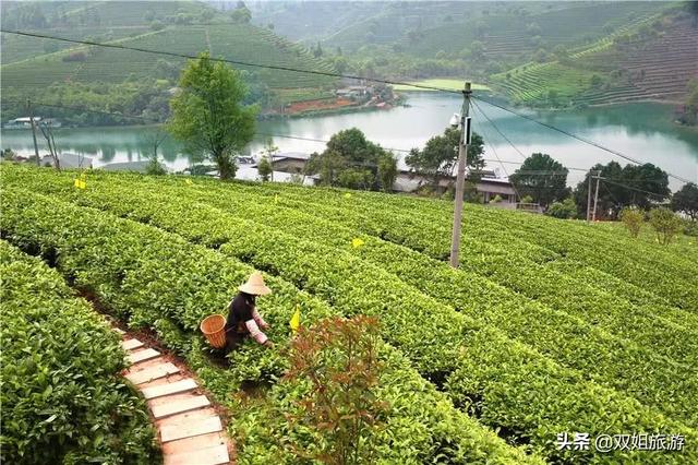 待到疫情结束：约起自驾这条热带雨林，品味中国、老挝、泰国风情