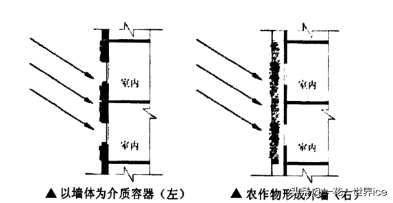 垂直农业会成为下一个风口吗？