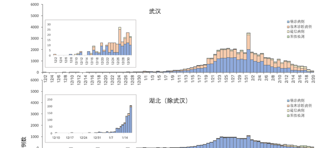 联合考察报告发布 中国果敢措施改变疫情危险进程