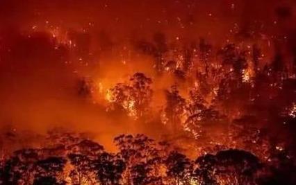 大火逼近堪培拉，室内能见度都差，澳洲火灾烧掉166个新加坡面积