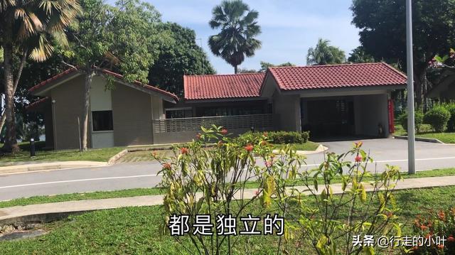 新型肺炎,新加坡政府提供的隔离住所，全世界都在努力，加油