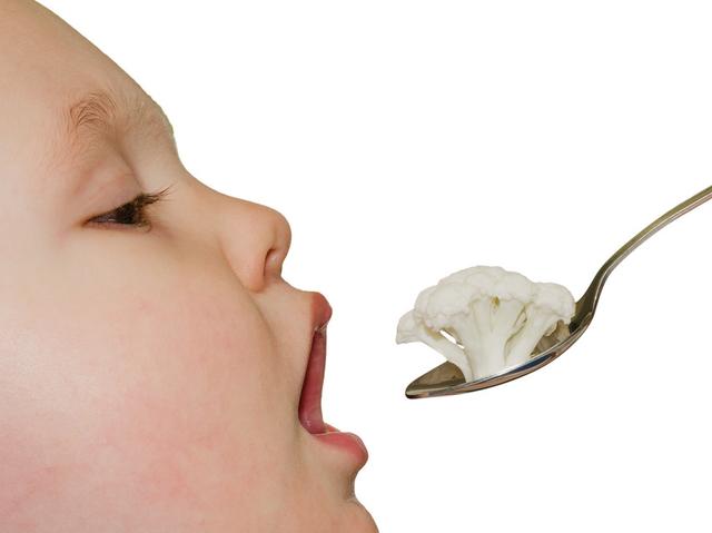 婴儿到底能不能吃燕窝？