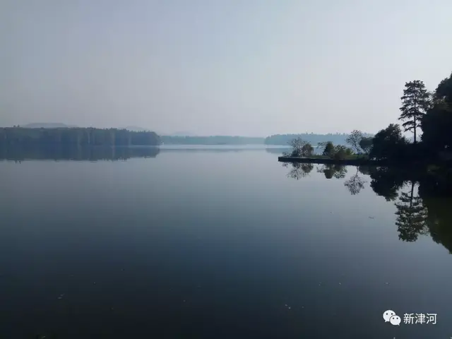 “长堤杉影，浴日踏青”—大美江城(2)