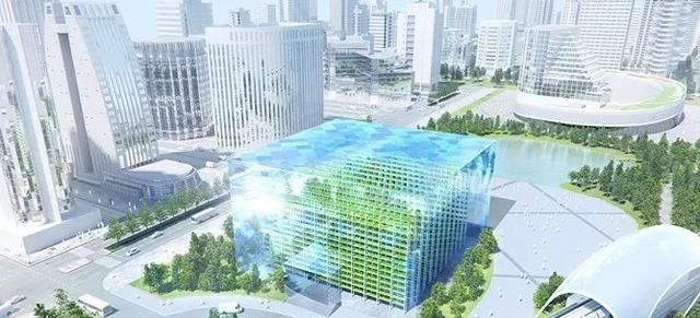 未来农业什么样？日本垂直农场日产3万棵生菜