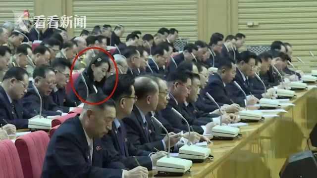 朝鲜高层“大换血”满月 金正恩胞妹任职引关注 韩统一部：核实细节