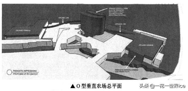 垂直农业会成为下一个风口吗？