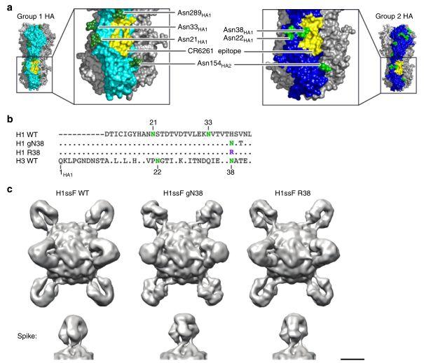 复旦大学徐彦辉Science；刘庄，蒋伟，毛辉，吴松，廖永红等成果速递丨BioDaily20200211