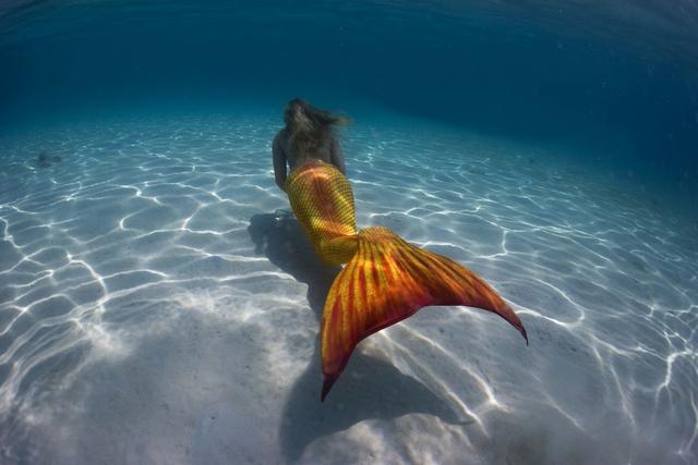 真相告诉你世界上有没有美人鱼的存在？