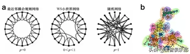 从复杂网络小世界、无标度、高聚类特性看新型冠状病毒肺炎