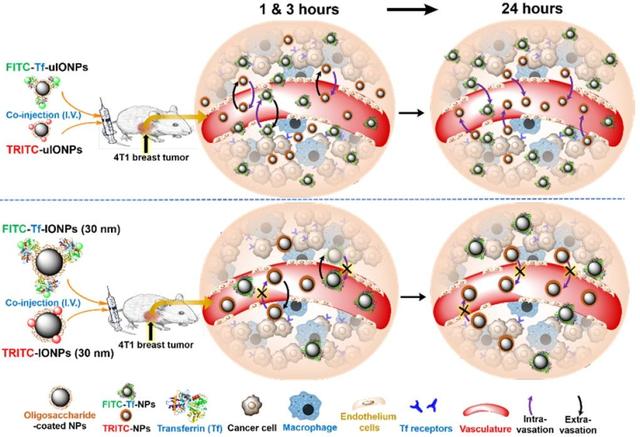 复旦大学徐彦辉Science；刘庄，蒋伟，毛辉，吴松，廖永红等成果速递丨BioDaily20200211