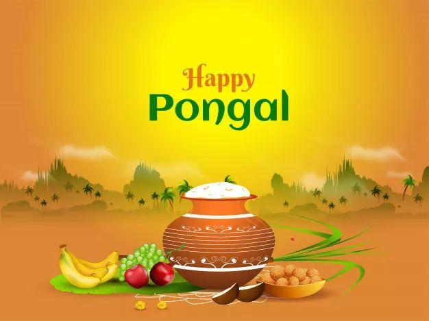 异时同日｜印度丰收节Pongal