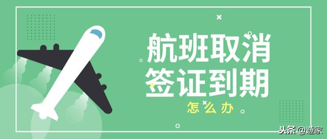 收藏 | 你的旅行计划受影响了吗？一篇了解最新航班&签证变化
