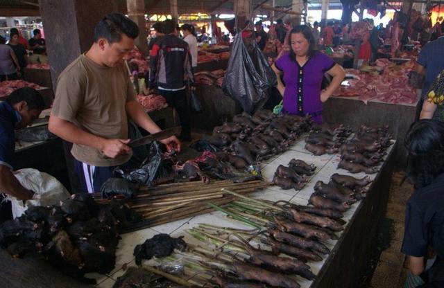 从印尼和非洲无源发确诊新冠病例提几条中国疫情防控的建议