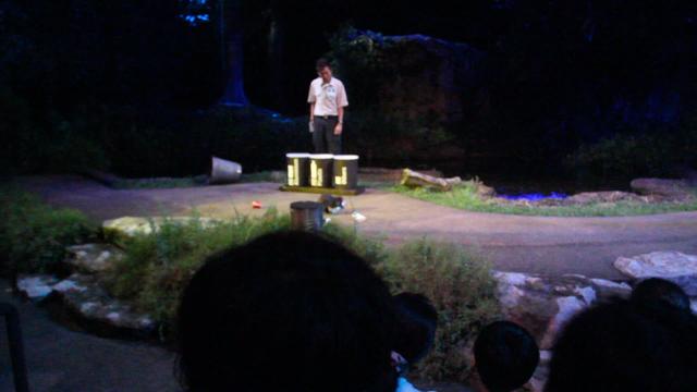 新加坡夜间动物园3