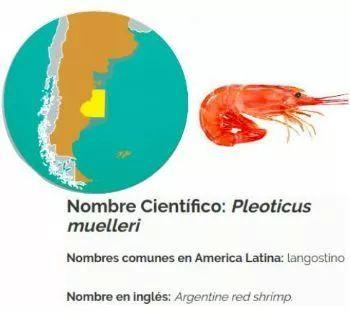 阿根廷红虾受新冠病毒冲击跌至历史最低！日本新加坡市场也受牵连