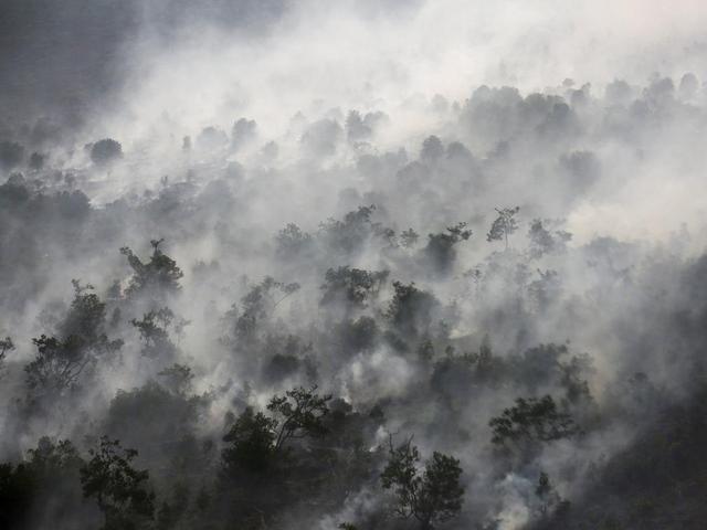 印尼森林大火敲响了警钟：熊熊燃烧的，不是别的，而是人类自己