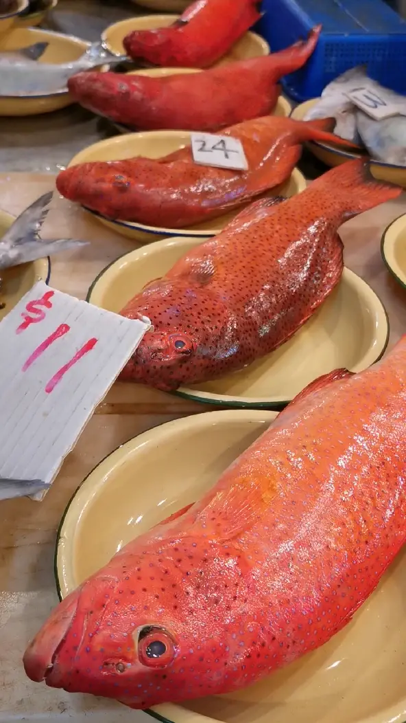 看看新加坡的海鲜价格