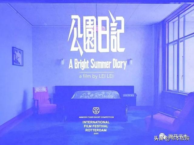 先锋实验的鹿特丹电影节，真的对电影人有帮助吗？