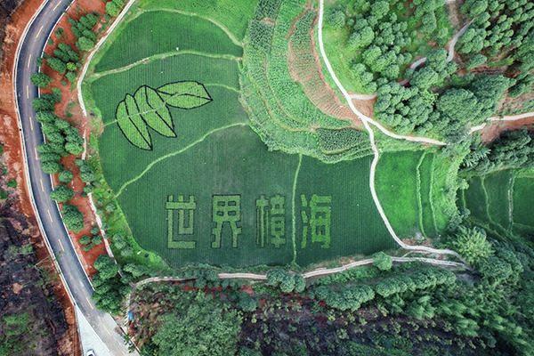四川有一座城，坐拥多项“世界之最”，你知道是谁吗？