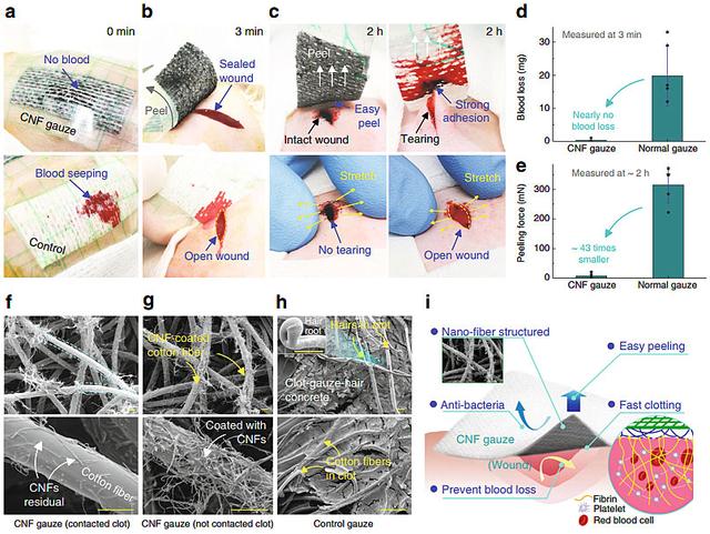 新型超疏水纱布——快速止血、防感染、不粘伤口