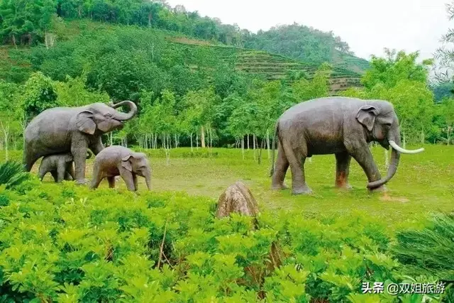 待到疫情结束：约起自驾这条热带雨林，品味中国、老挝、泰国风情