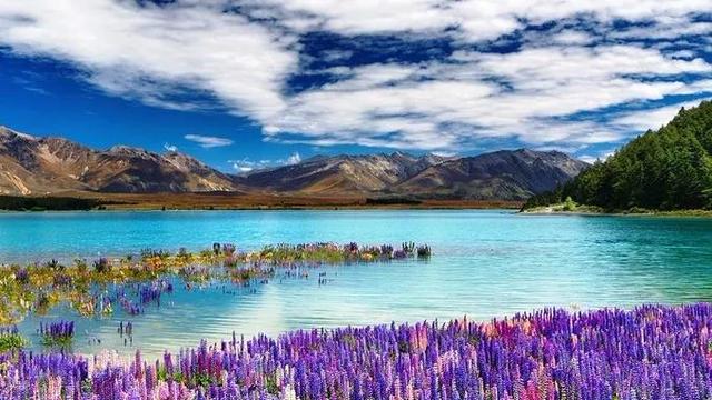 白云缭绕，纯净唯美——自带滤镜的新西兰