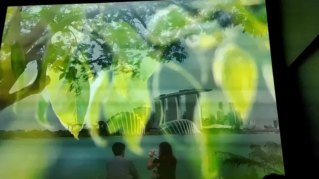 新加坡滨海湾花园内宣传片