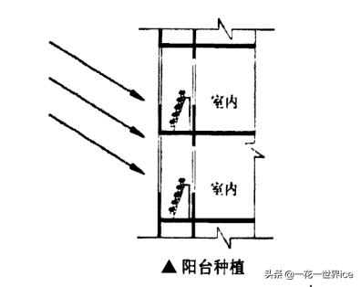 垂直农业会成为下一个风口吗？