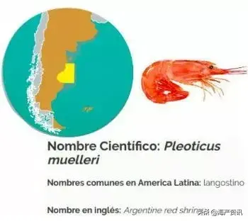 阿根廷红虾遭受新冠病毒冲击跌至历史最低！日本新加坡市场受牵连