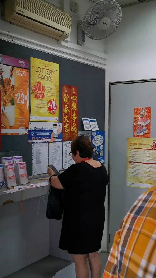 2020春节新加坡大奖