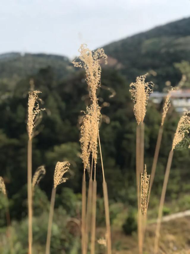 现代西游记